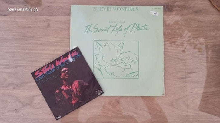 Stevie Wonder lp en single, Ophalen of Verzenden, Gebruikt, LP