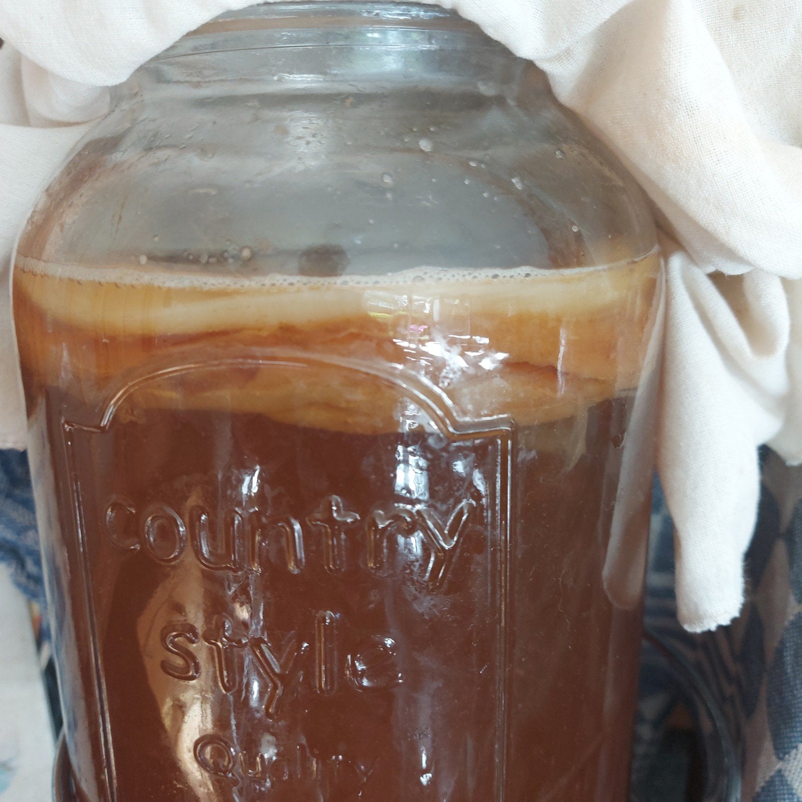 kombucha zwam met startervloeistof en gebruiksaanwijzing., Ophalen
