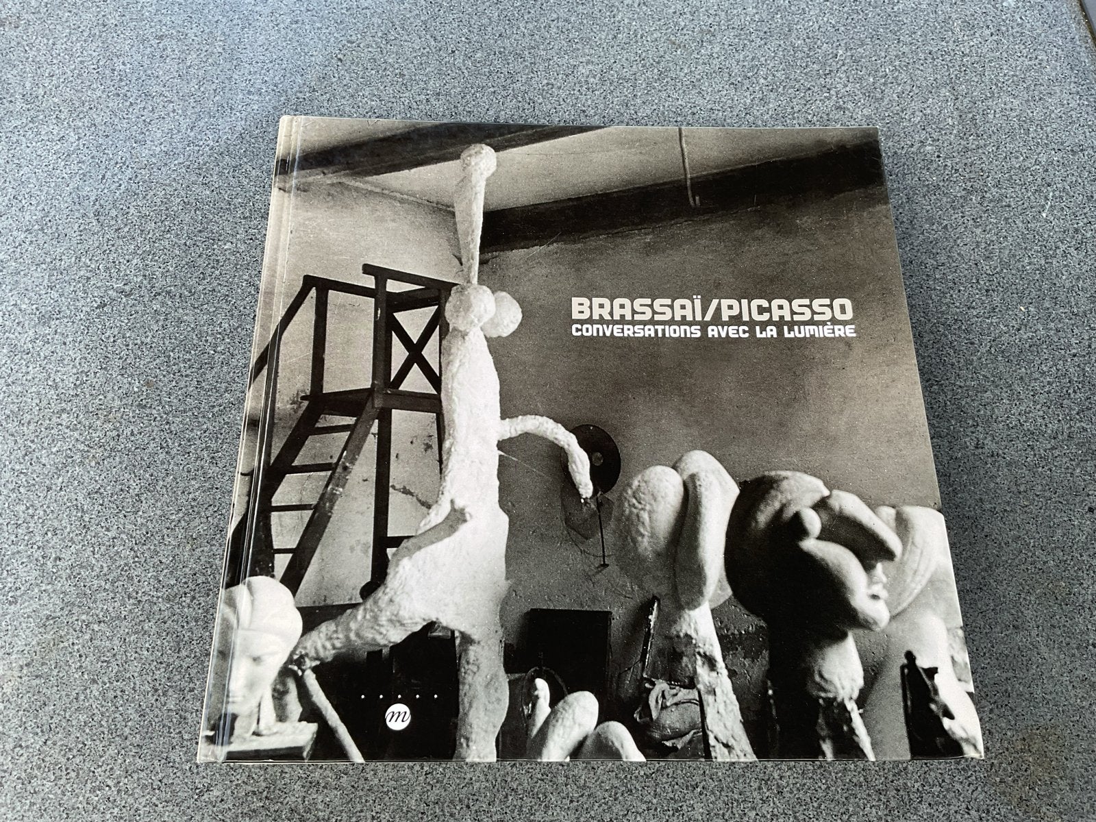 Brassaï/Picasso: Conversations avec la Lumière, Ophalen of Verzenden, Zo goed als nieuw, Schilder- en Tekenkunst