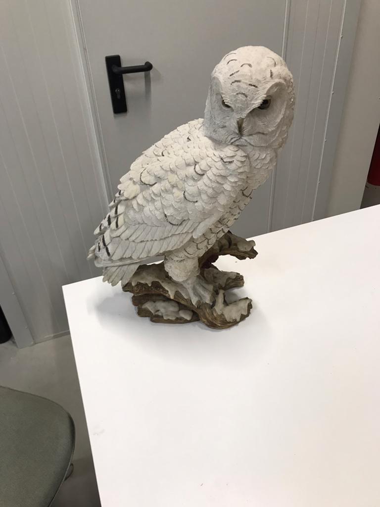 Zeer mooie grote witte uil, Ophalen, Zo goed als nieuw, Dier