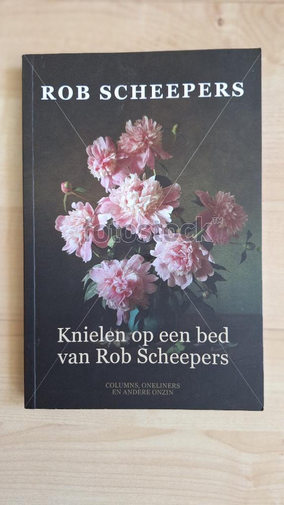 Rob Scheepers - Knielen op een bed van Rob Scheepers, Ophalen, Zo goed als nieuw, Overige typen