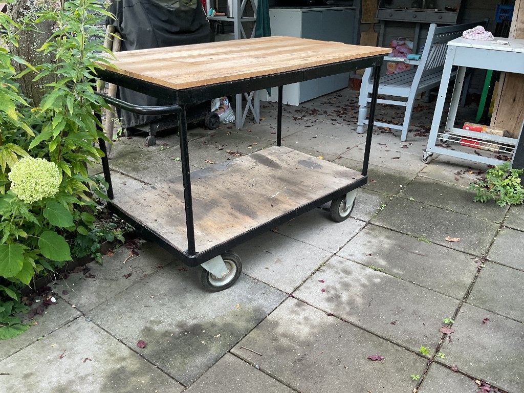 kar geschikt voor green egg, Ophalen, Gebruikt, Houtskool