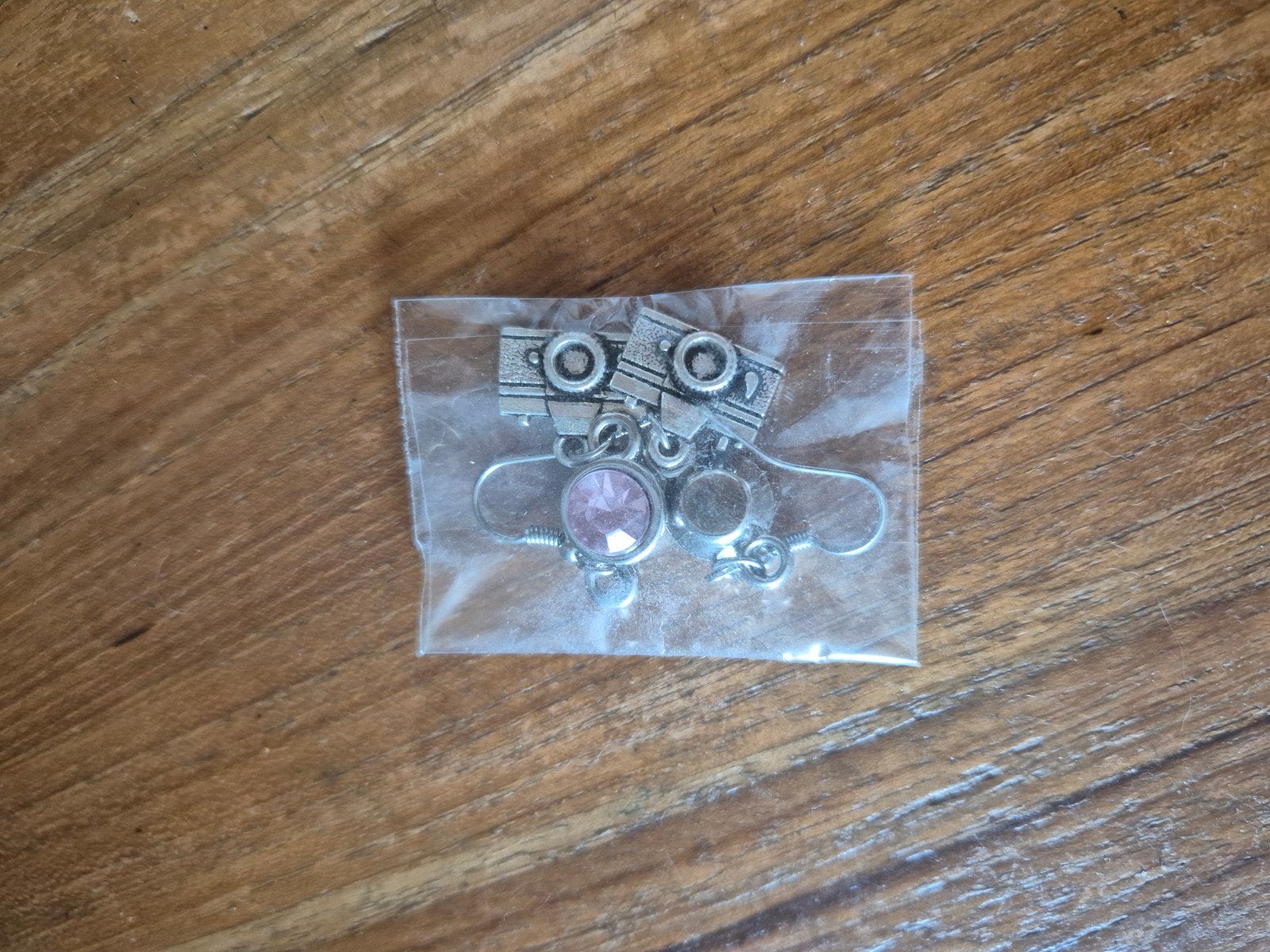 Leuke camera oorbellen met roze steen, Overige materialen, Hangers, Nieuw, Ophalen of Verzenden