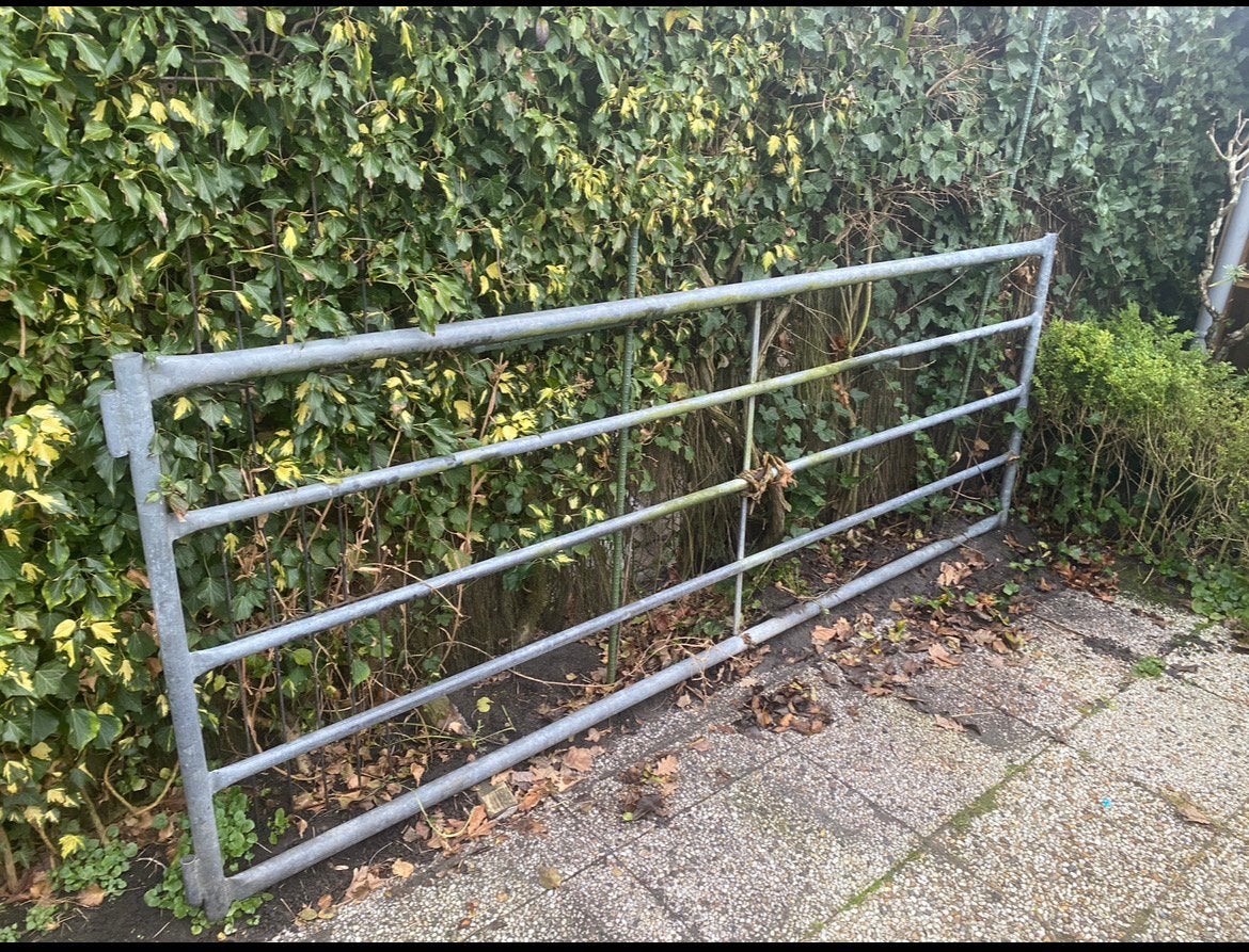 305 x 110 gegalvaniseerd weidehek, Ophalen, Zo goed als nieuw, IJzer