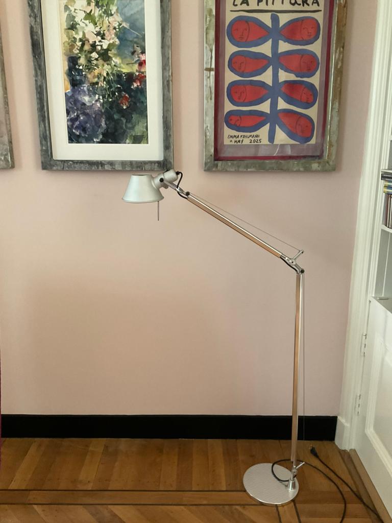 Artemide Tolemeo Lettura vloerlamp, Ophalen of Verzenden, Zo goed als nieuw, 150 tot 200 cm