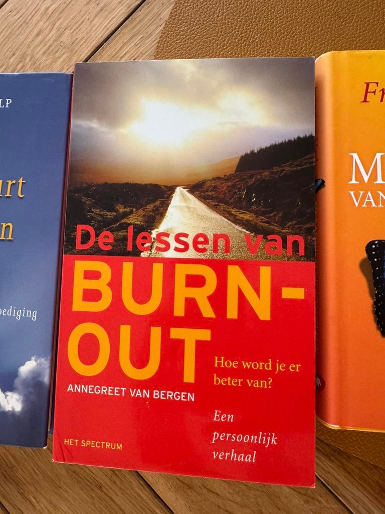 De lessen van burn out, Boeken, Ophalen of Verzenden, Zo goed als nieuw