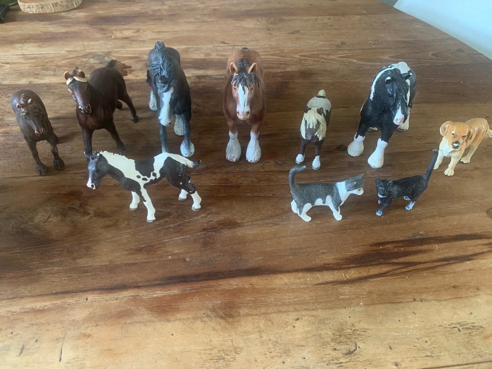 Schleich paarden, hond en katten, Ophalen of Verzenden, Gebruikt, Paard