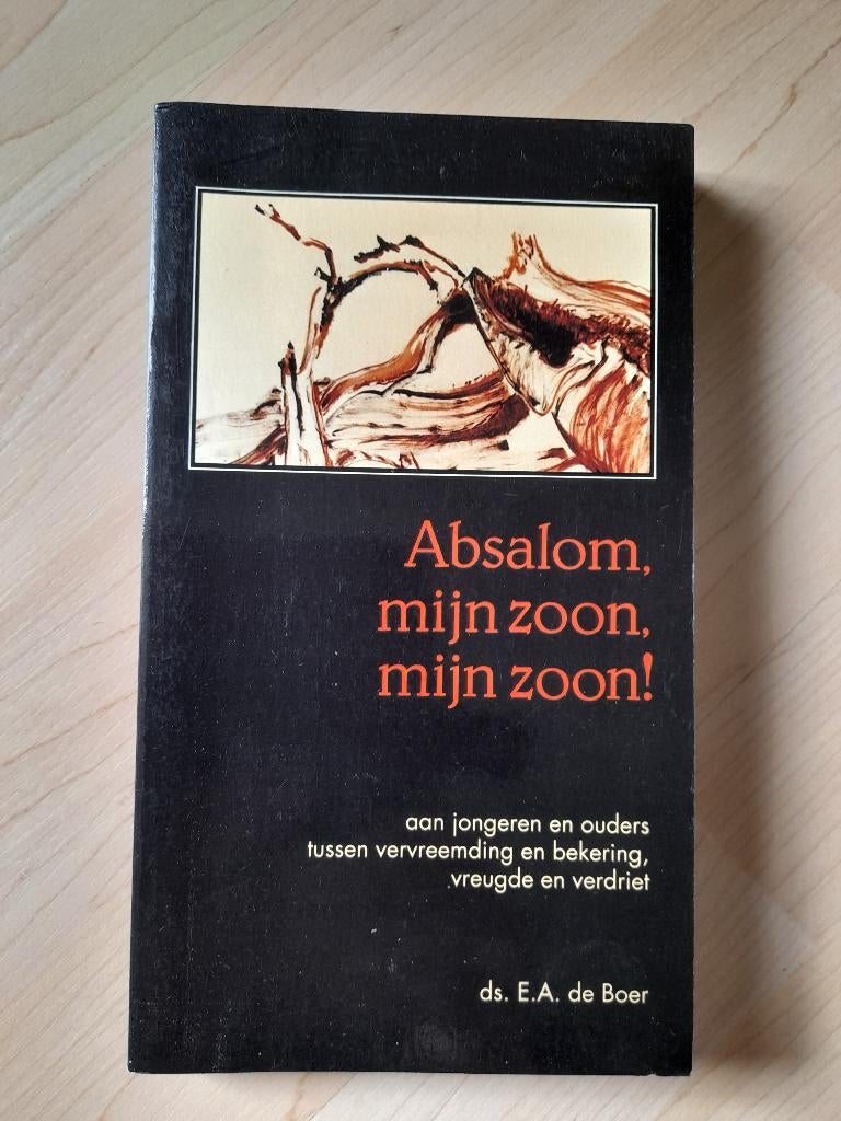 ABSALOM MIJN ZOON MIJN ZOON !   ds EA de Boer, Boeken, Ophalen of Verzenden, Gelezen