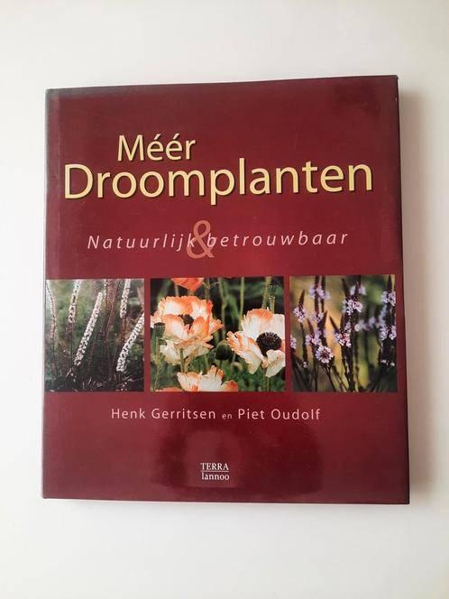 Méér droomplanten . Piet Oudolf, Boeken, Wonen en Tuinieren, Ophalen of Verzenden, Gelezen, Piet Oudolf, Henk Gerritsen, Tuinieren en Tuinplanten