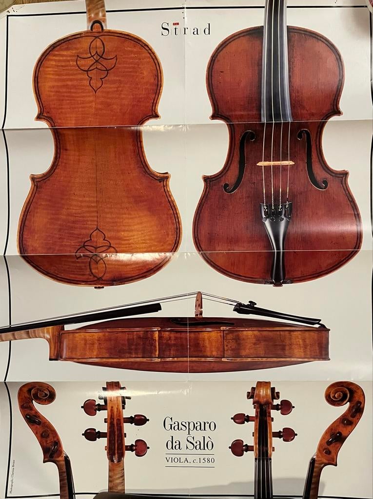 Strad en Gasparo da Salò Viool/Altviool Poster, Muziek en Instrumenten, Strijkinstrumenten | Violen en Altviolen, Ophalen of Verzenden