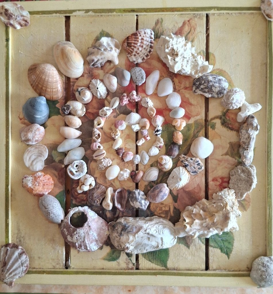 schelpen schilderij, Huis en Inrichting, Woonaccessoires | Schilderijen, Tekeningen en Foto's, Zo goed als nieuw, Schilderij, Minder dan 50 cm