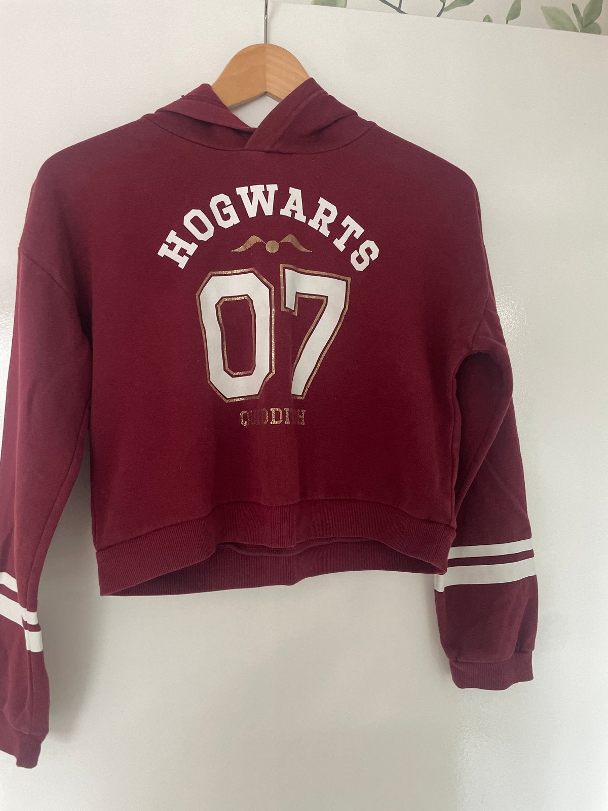 Hogwarts 07 Cropped Hoodie - Harry Potter, Ophalen, Gedragen, Maat 34 (XS) of kleiner, Rood