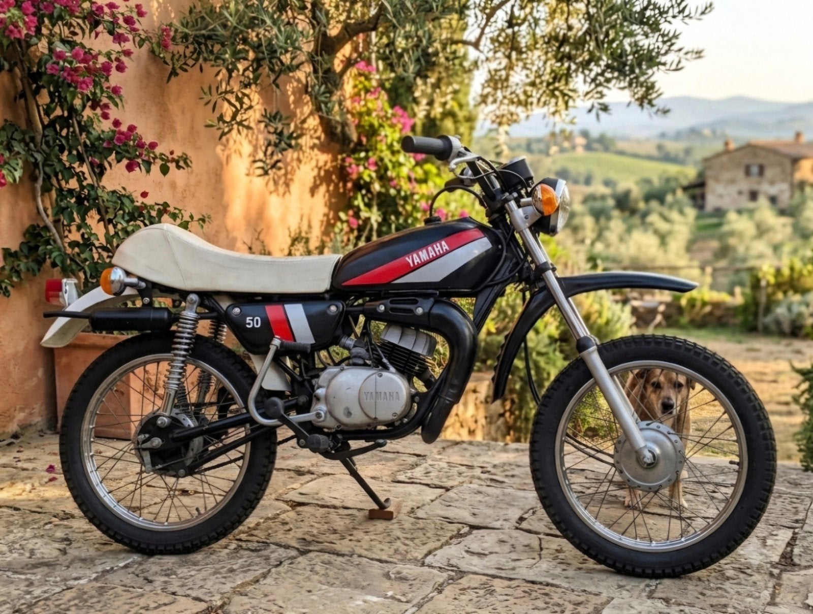 yamaha dt50m  loopt mooi !!  ready for run, Ophalen of Verzenden, Gebruikt, Overige typen, Yamaha