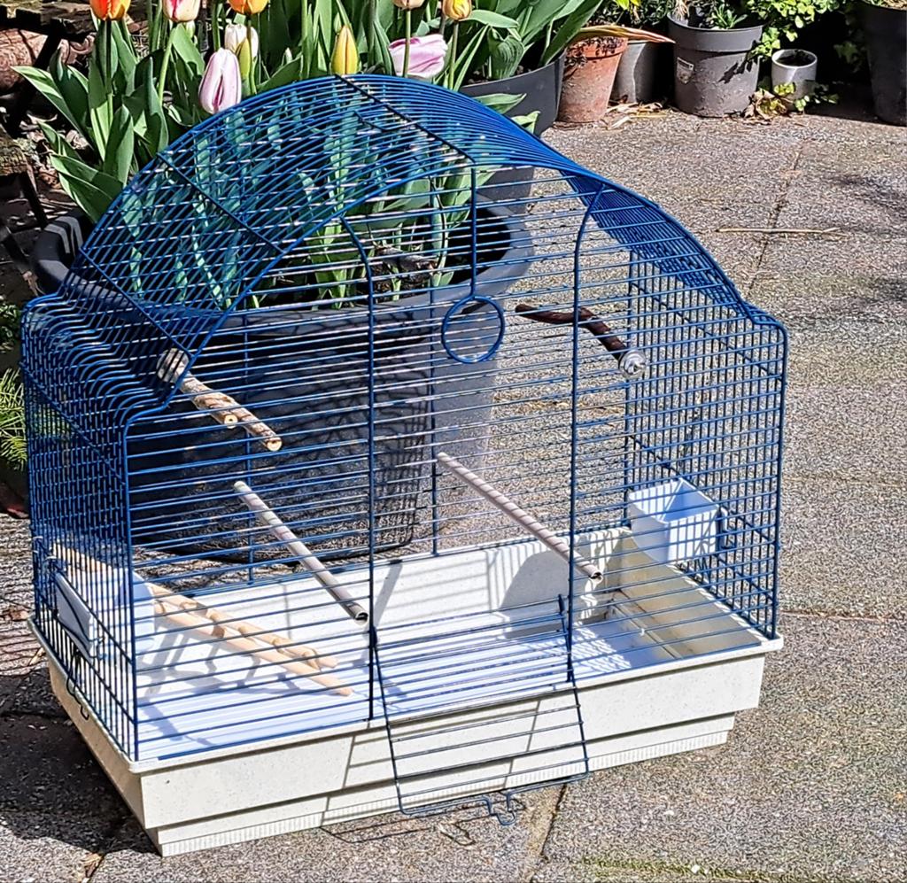 Grote vogel kooi, Ophalen, Metaal, Vogelkooi