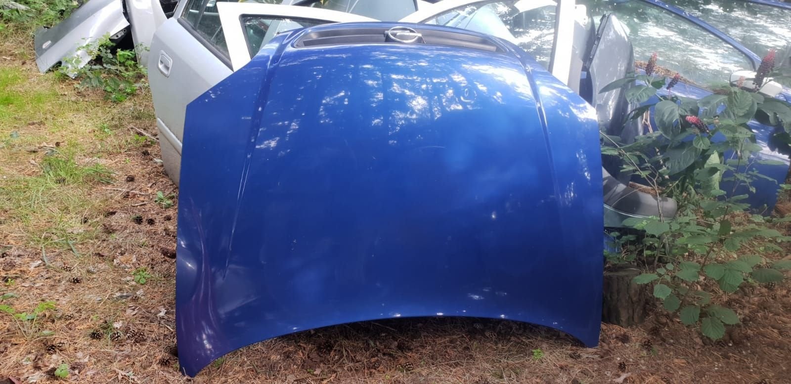 OPEL ASTRA G MOTORKAP BJ 98 TOT 2004, Gebruikt, -, -, Ophalen of Verzenden