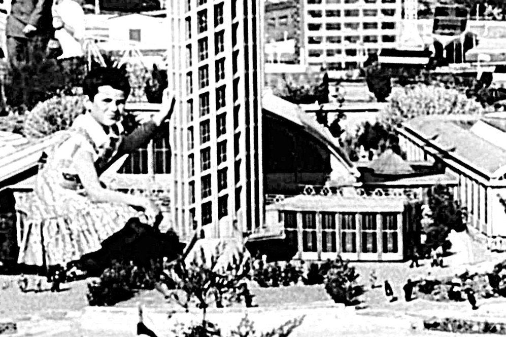 969378	Madurodam Den Haag	Diergaarde Blijdorp Rotterdam, Ophalen of Verzenden, 1940 tot 1960, Ongelopen, Zuid-Holland