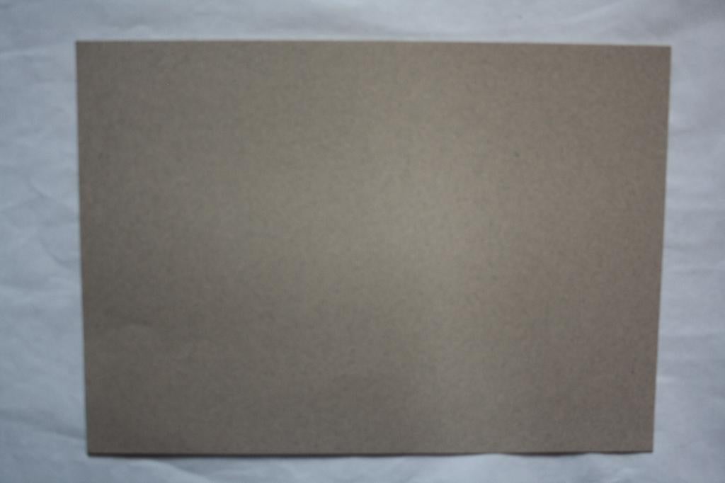 39 vel A4 mi-teintes papier lichtrookgrijs 160gram, Ophalen of Verzenden, Nieuw, Overige thema's, Overige typen