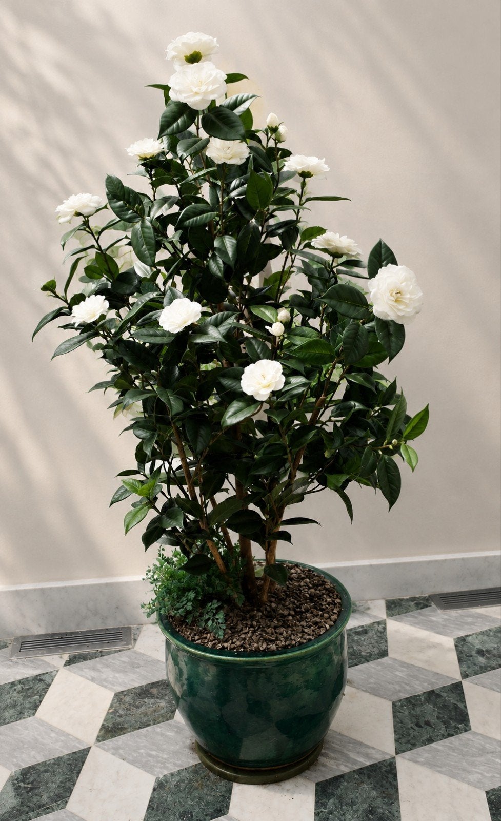 Prachtige kunstplant met witte bloesem - 1.60m hoog, Huis en Inrichting, Woonaccessoires | Kunstplanten en Kunstbloemen, Ophalen