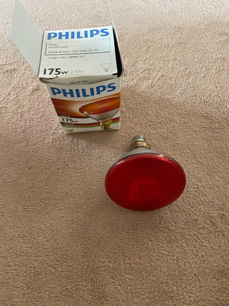 Warmtelamp, Ophalen of Verzenden, Nieuw