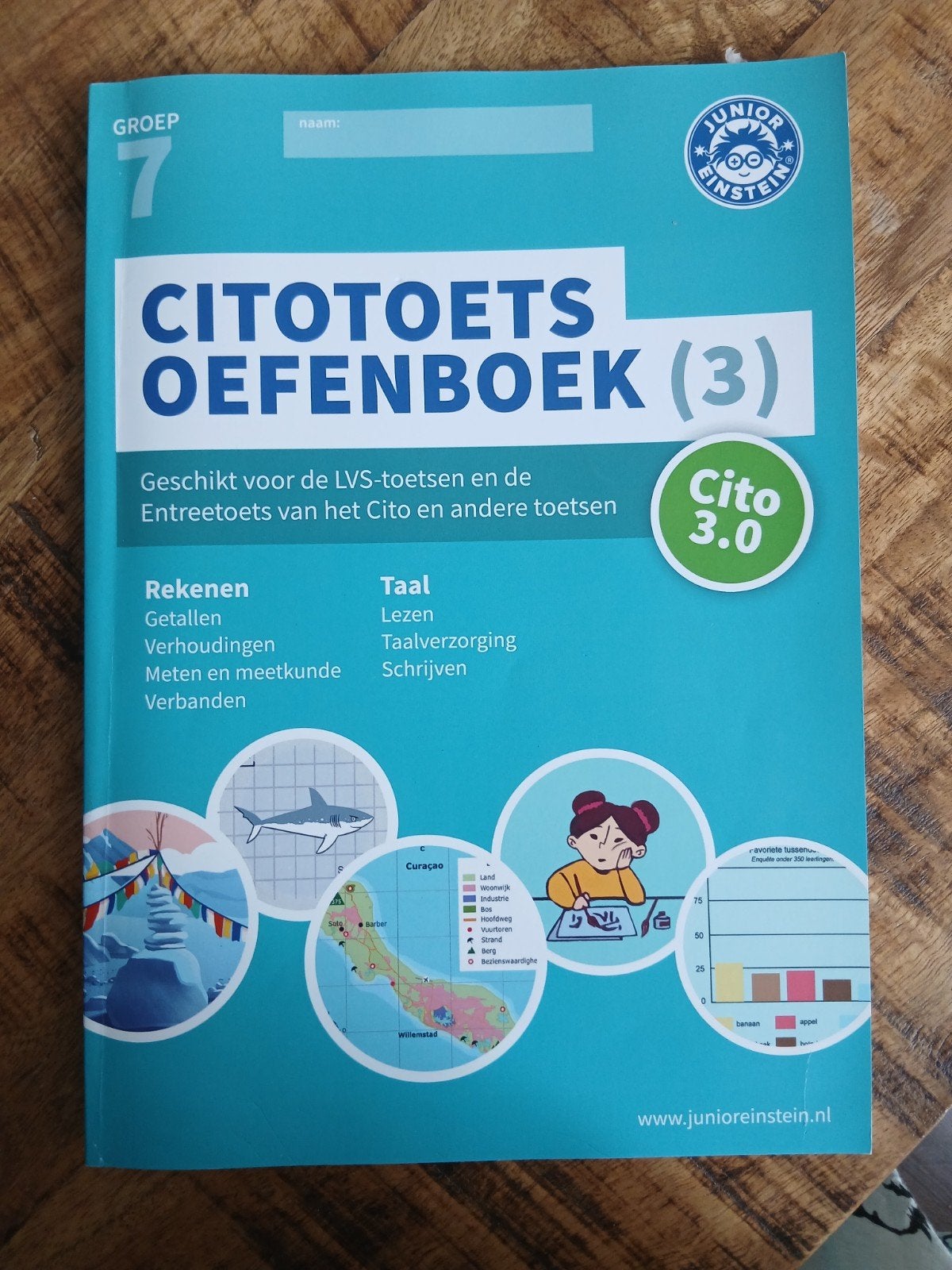 Cito Toets Oefenboek Groep 7 deel 3, Ophalen of Verzenden, Zo goed als nieuw, Overige niveaus, Nederlands