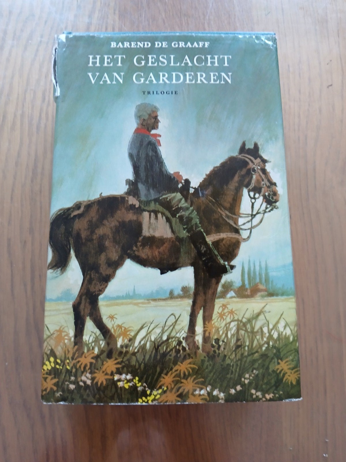 Het geslacht van Garderen | Trilogie | Barend de Graaff, Ophalen of Verzenden, Gelezen