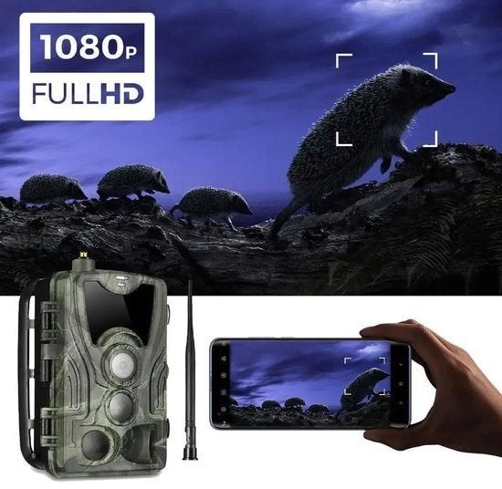 Wildcamera – Trail Camera – Jachtcamera – Wildlife Camera
