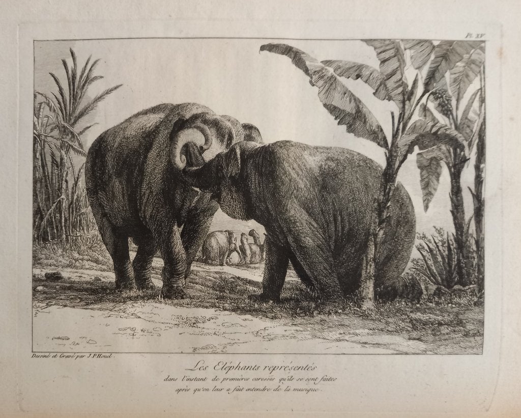 [Olifanten] Houel 1803 Histoire naturelle des deux Éléphants, Antiek en Kunst, Ophalen of Verzenden