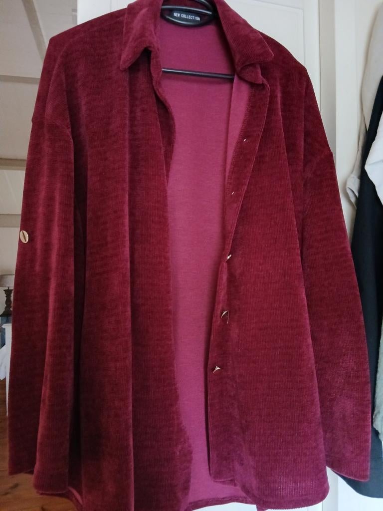 Burgundy bloes rib maat 42., Ophalen of Verzenden, Zo goed als nieuw, Maat 42/44 (L), Groen