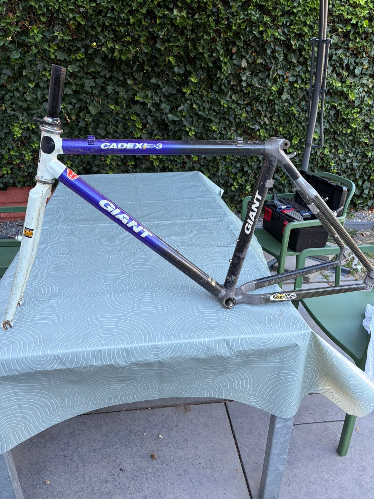 Giant Cadex 3 frame, Ophalen, Gebruikt, Giant