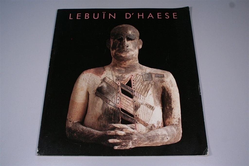 Lebuïn D\'Haese [1989] — Groot Kunstboek, Ophalen of Verzenden, Gelezen