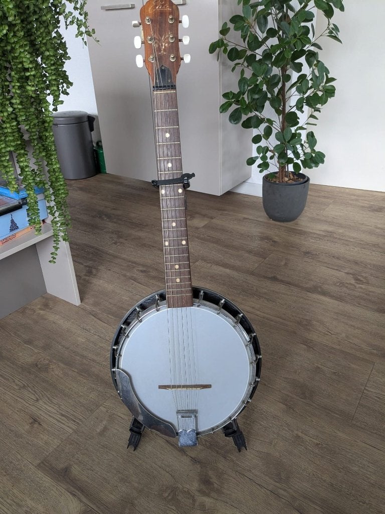 6-snarige (gitaar-) banjo Merk:EKO, Ophalen, Gebruikt, Gitaarbanjo