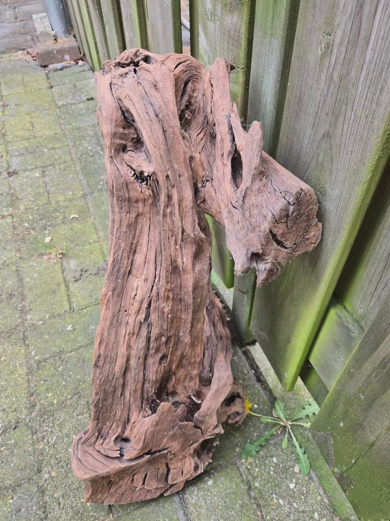 Decoratief drijfhout stuk - Uniek en natuurlijk 60x43x25, Dieren en Toebehoren, Ophalen of Verzenden, Gebruikt