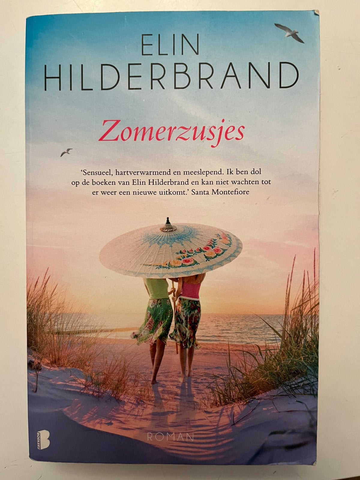 Zomerzusjes - Elin Hilderbrand Roman, Ophalen of Verzenden, Gelezen, Nederland
