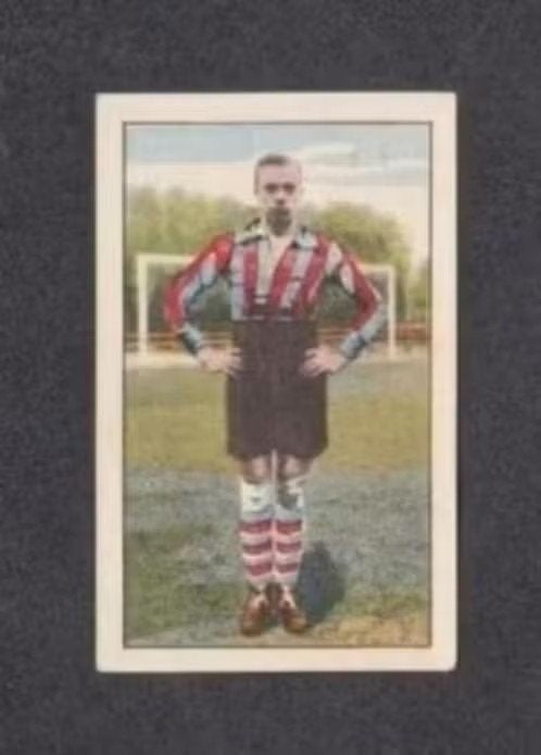 Voetbalplaatje Mol KFC Koog a.d. Zaan (200)., Ophalen of Verzenden, Zo goed als nieuw