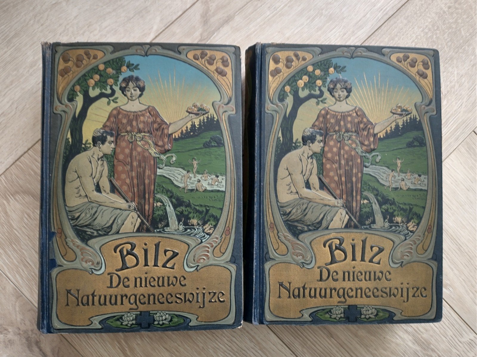 Bilz De Nieuwe Natuurgeneeswijze - 2 Delen, Verzenden, F. E. Bilz, Dr. W. Wolff, Dr. Gehrmann, Dr. Haig