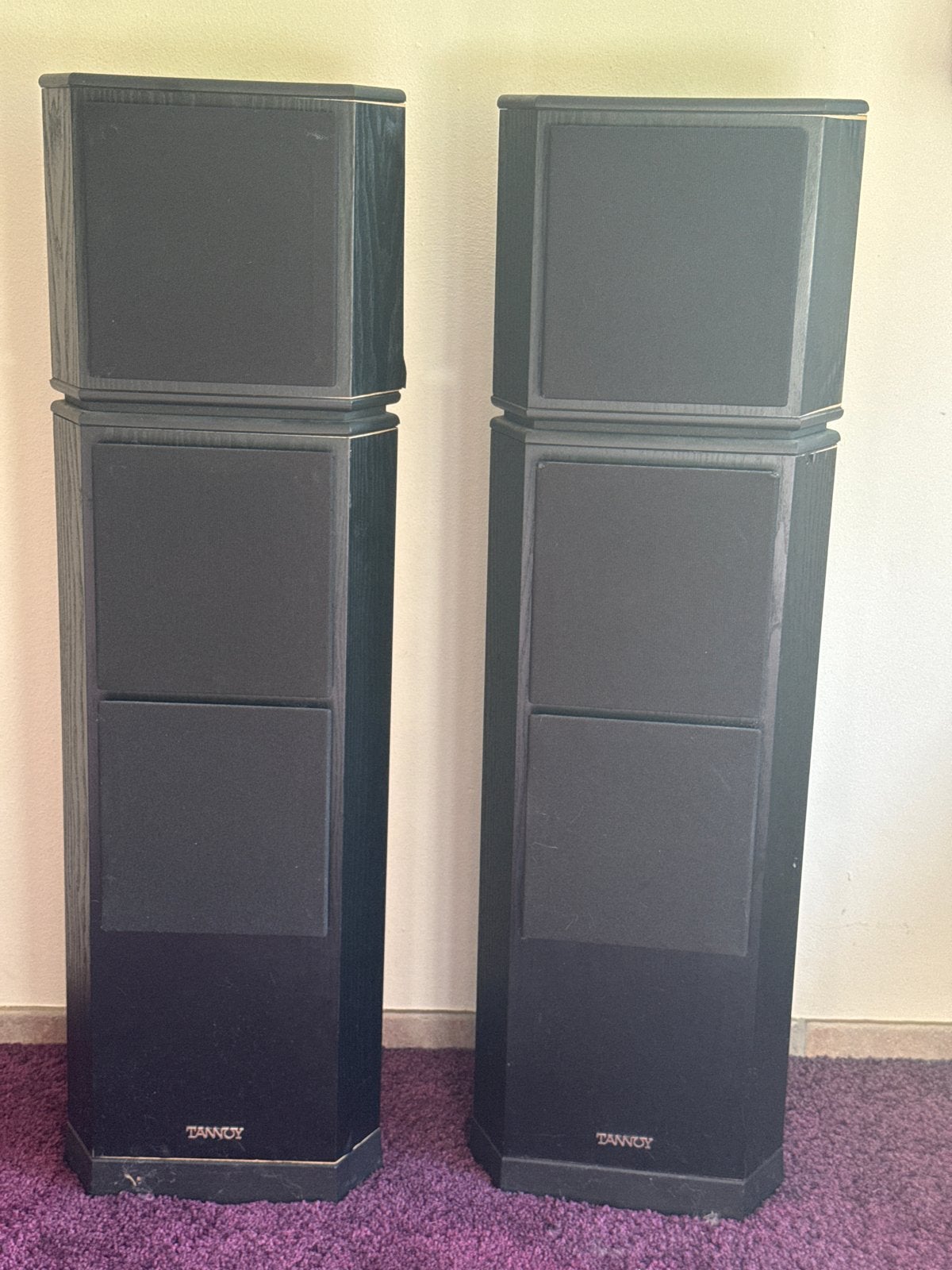 Tannoy 613 Vloerstaande Luidsprekers - Perfect Geluid, Ophalen, Gebruikt, Vloerstaande luidspreker, Overige merken