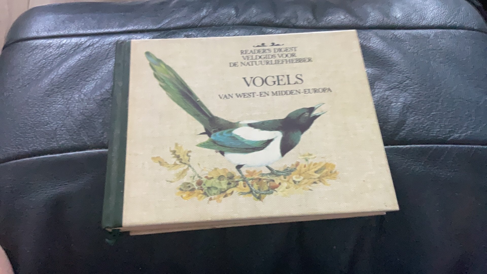 READERS DIGEST Natuurgids. Vogels, Boeken, Natuur, Ophalen of Verzenden, Gelezen, Vogels