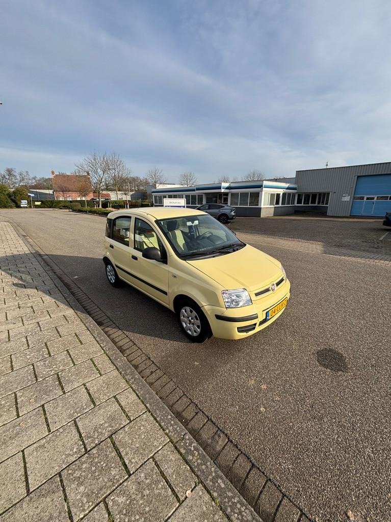 Fiat Panda 1.2 Active, Auto's, Euro 5, Stof, Gebruikt, 1242 cc
