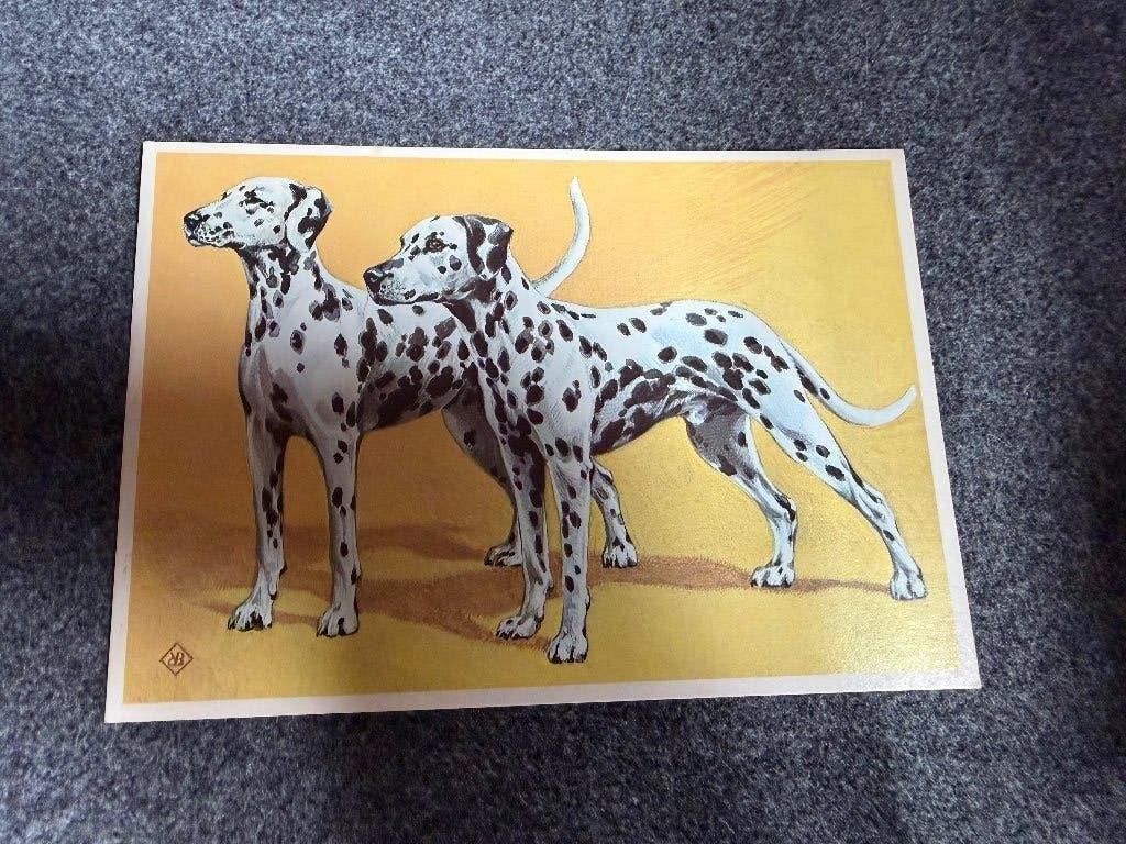Ansichtkaart kinderpostzegels dalmatiër honden, Ophalen of Verzenden, 1980 tot heden, Ongelopen, Overige thema's