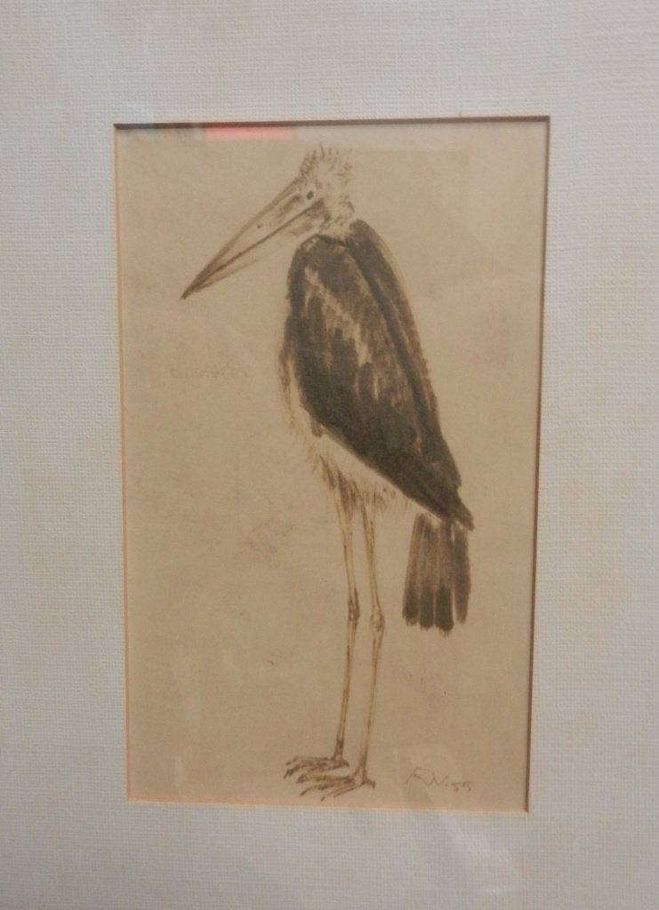 Aquarel Staande Maraboe Rinus van der Neut 1955 hxb 25x15 cm, Antiek en Kunst, Kunst | Tekeningen en Foto's, Ophalen of Verzenden