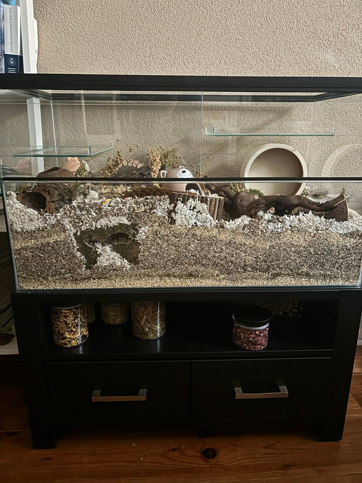 Knaagdieren kooi/terrarium + alle benodigdheden, compleet, Kooi, Zo goed als nieuw, Hamster, 75 tot 110 cm