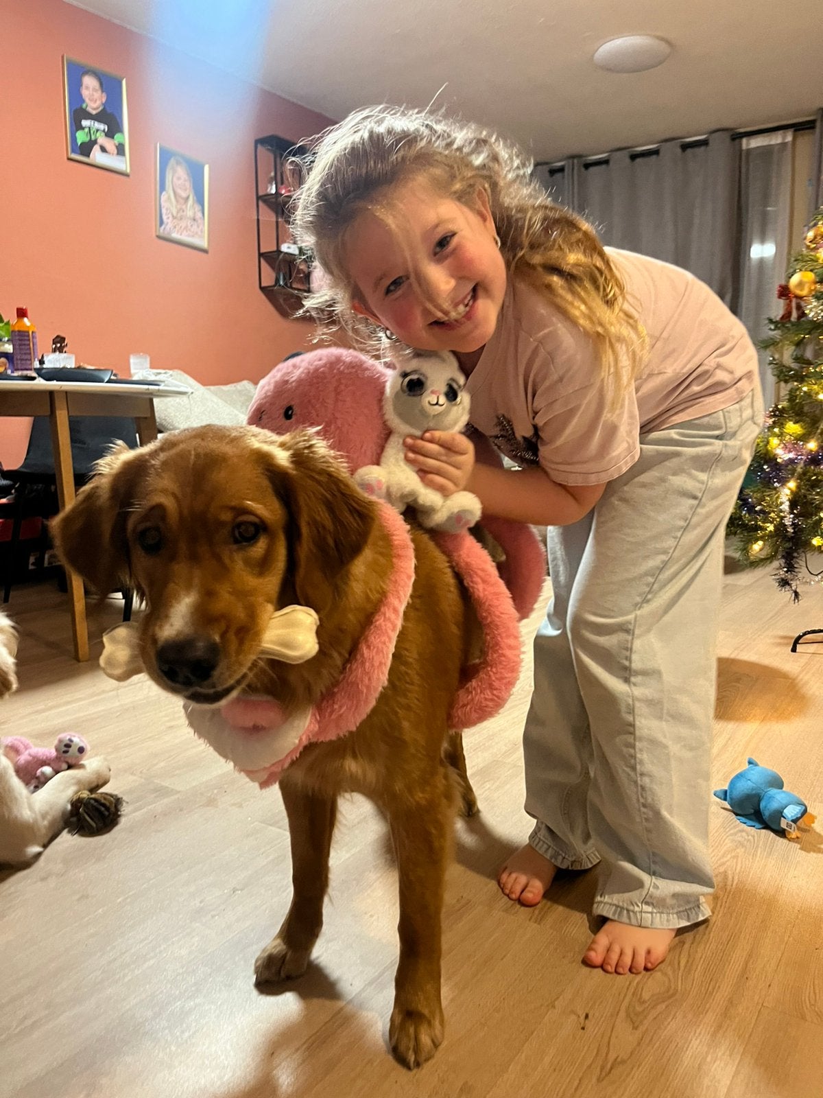 Honden oppas, Dieren en Toebehoren, Ophalen, Nieuw