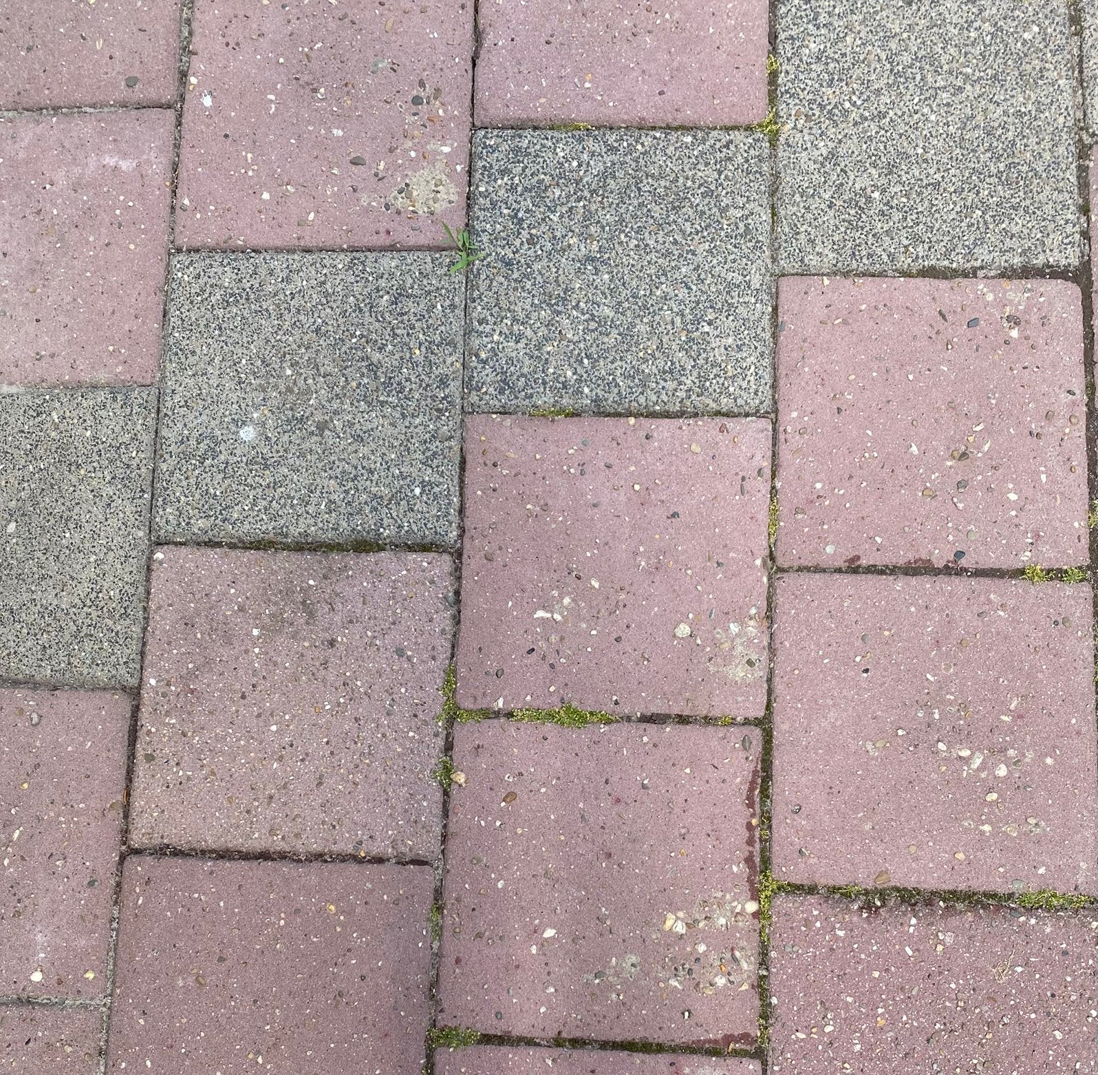 Gratis tegels 30x30 rood (en grijs), Tuin en Terras, Ophalen, Gebruikt, 10 m² of meer, Beton