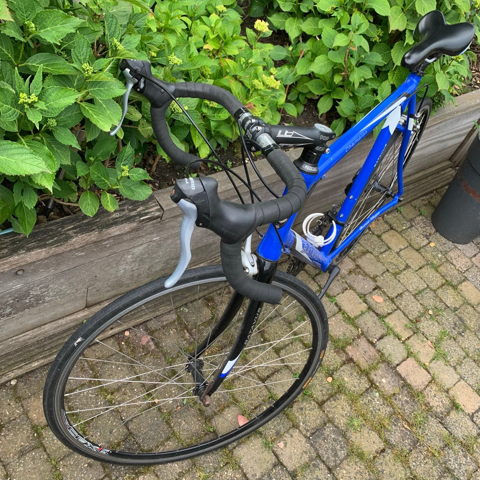 Batavus Champion Racefiets Blauw, Ophalen of Verzenden, Gebruikt