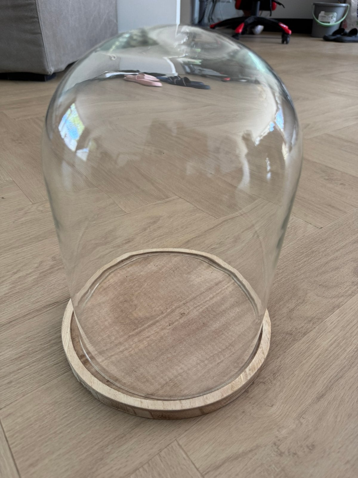 Glazen stolp, Huis en Inrichting, Woonaccessoires | Stolpen, Ophalen, Zo goed als nieuw