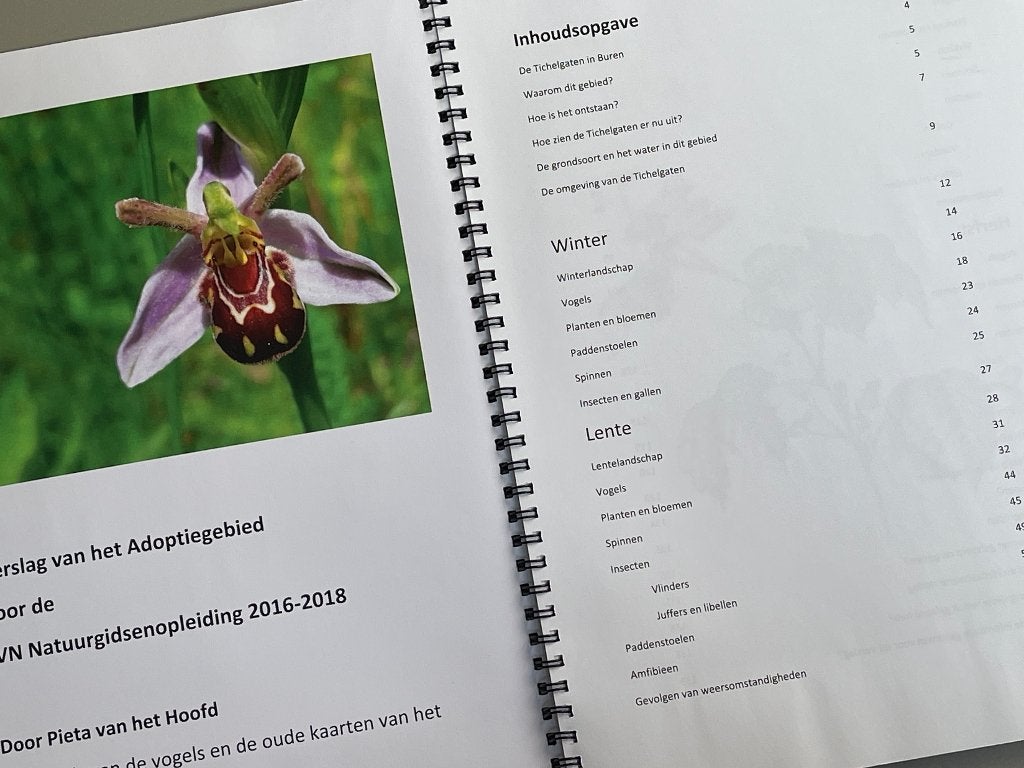 Vier seizoenen in Tichelgaten van Buren. 2017, Ophalen of Verzenden, 20e eeuw of later, Zo goed als nieuw