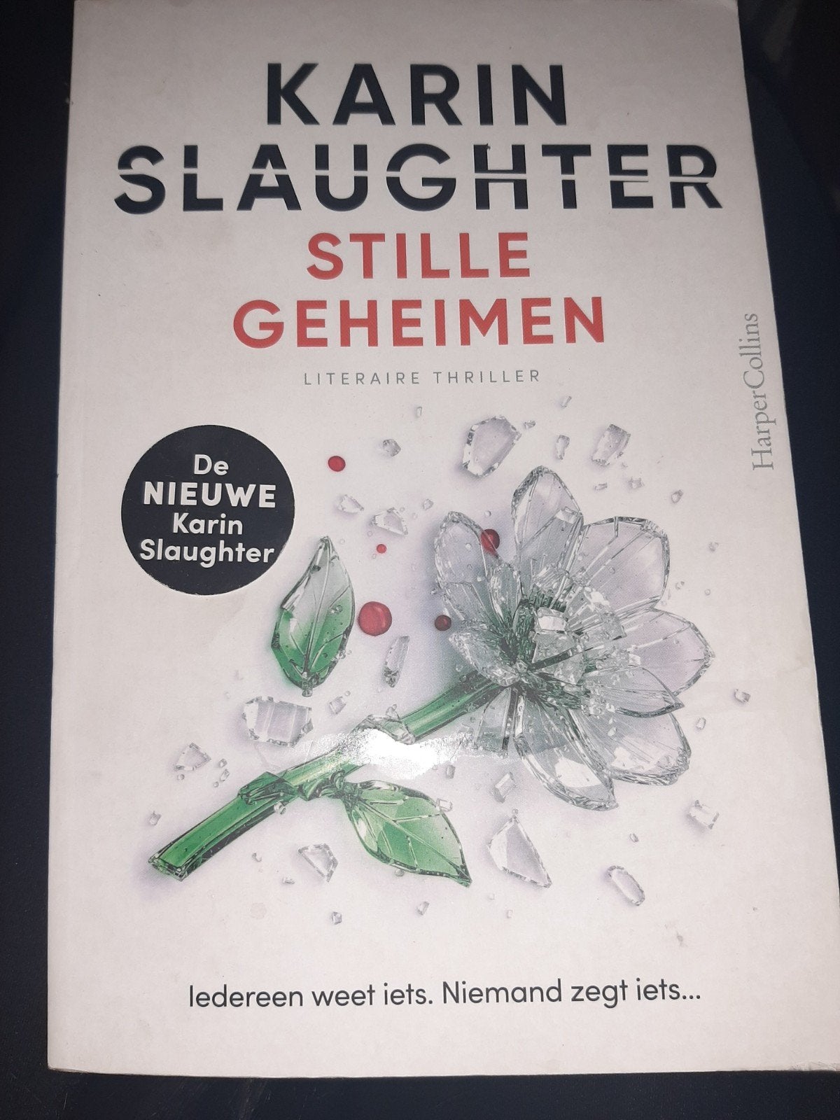 Karin Slaughter  Stille Geheimen   (Literaire Thriller), Ophalen of Verzenden, Zo goed als nieuw, Nederland, Karin Slaughter