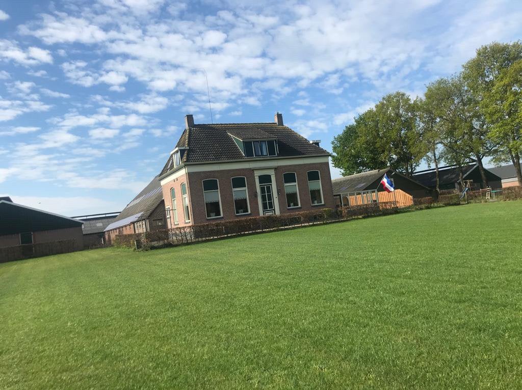 Pensionstalling voor pony of klein paard, Dieren en Toebehoren, Weidegang