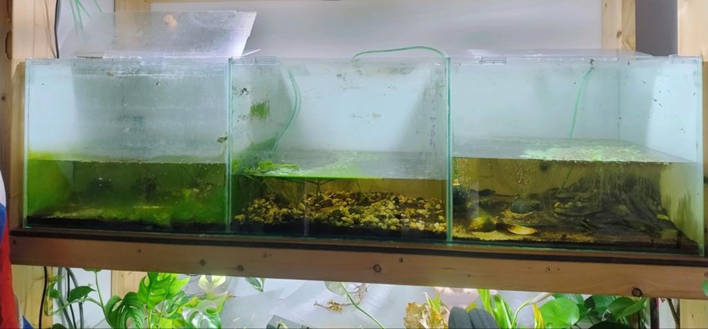 150cm Aquarium opgedeeld in 3 delen, Ophalen, Inclusief deksel, Gebruikt, Leeg aquarium