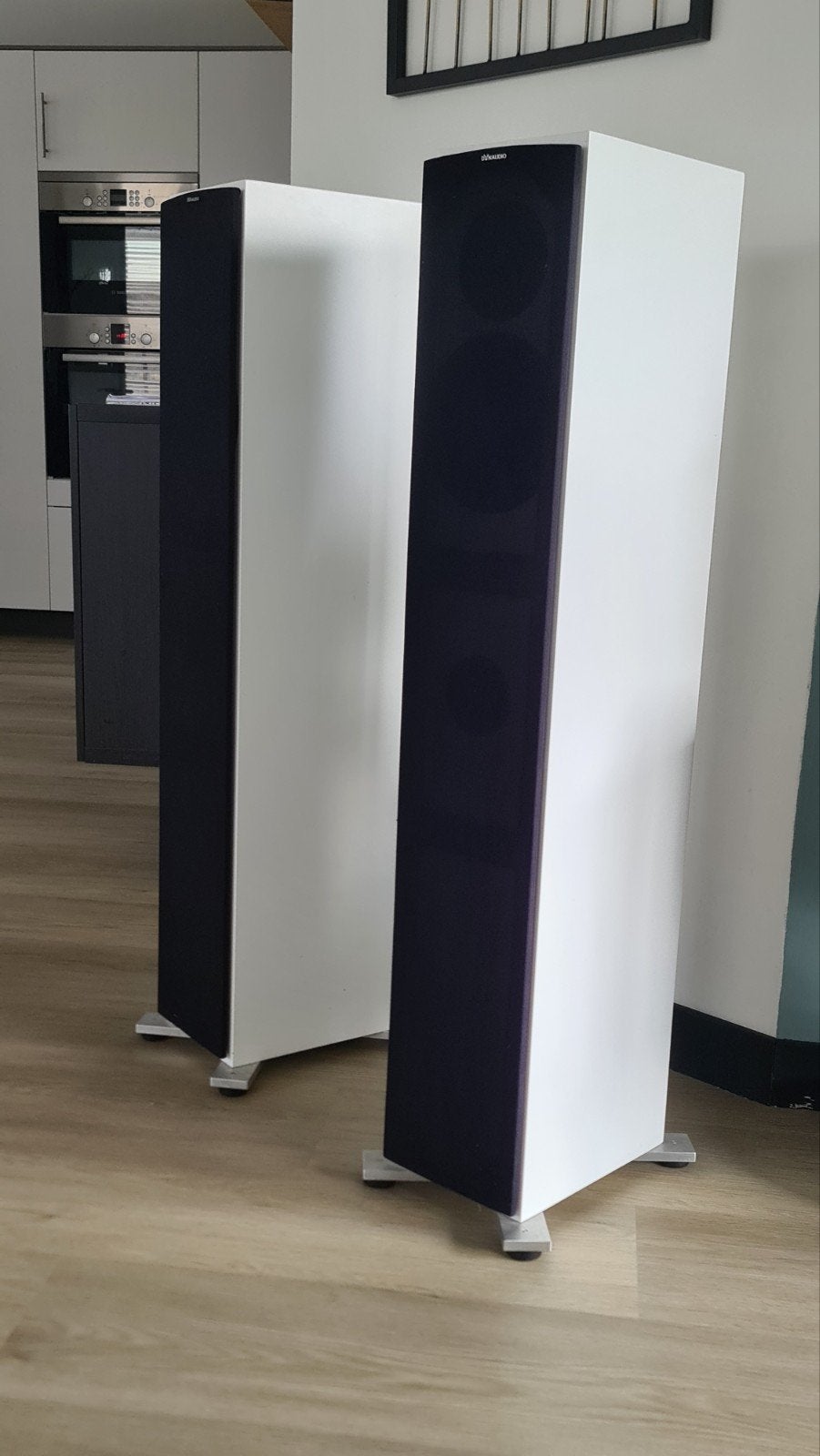 DYNAUDIO Nuance Artic one met Esotec d260/ woofer 17w75xl, Stereo speakers, Zo goed als nieuw, Basreflex, Ophalen